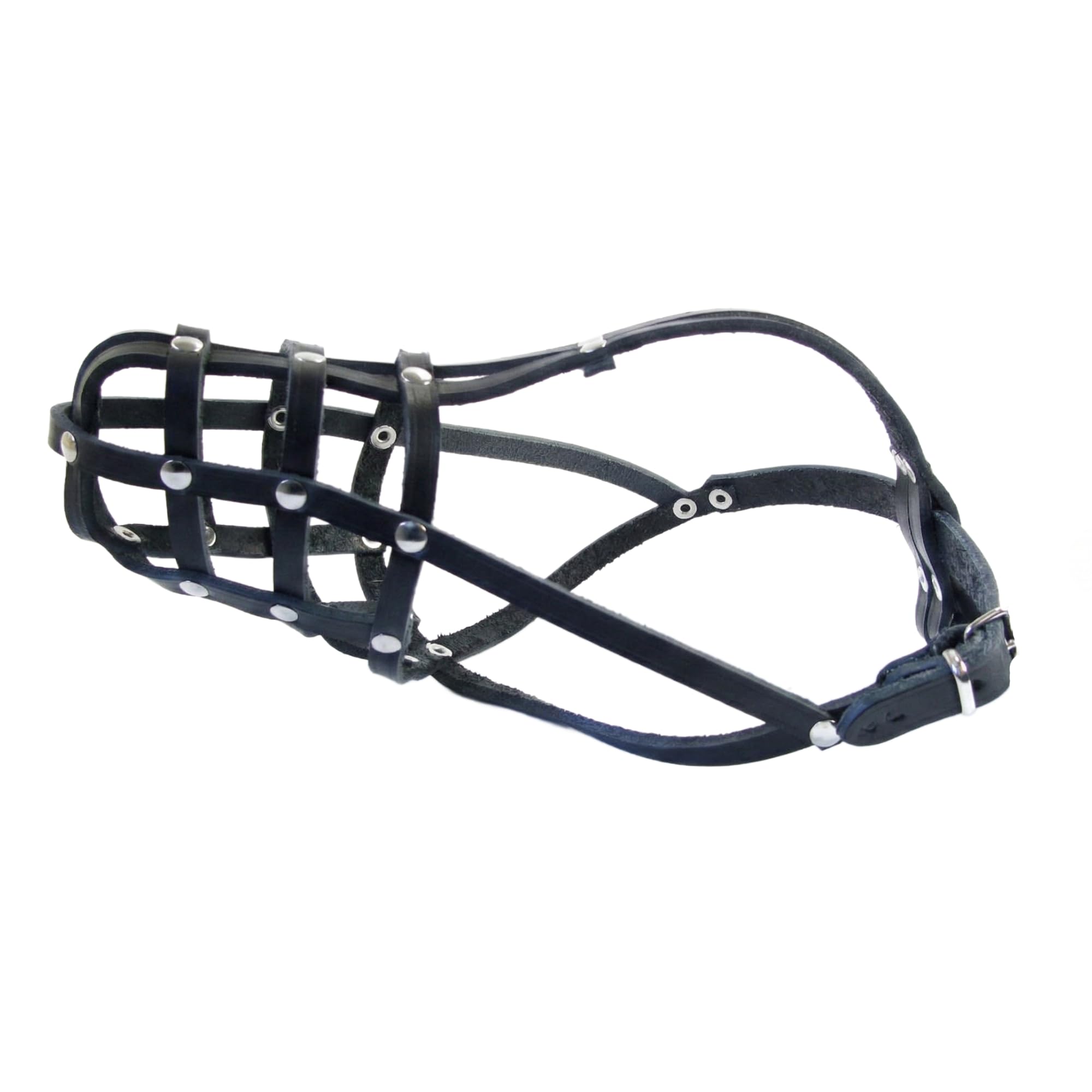 Muselière pour chien Jack Russell anti morsure : cuir souple et boucles métalliques sûres