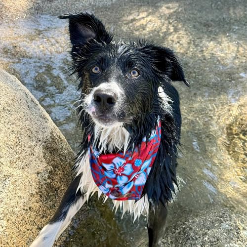 Image of Wilderdog Dog Bandana with Lightweight Quick Drying Poly-Blend Mesh Material in Aloha