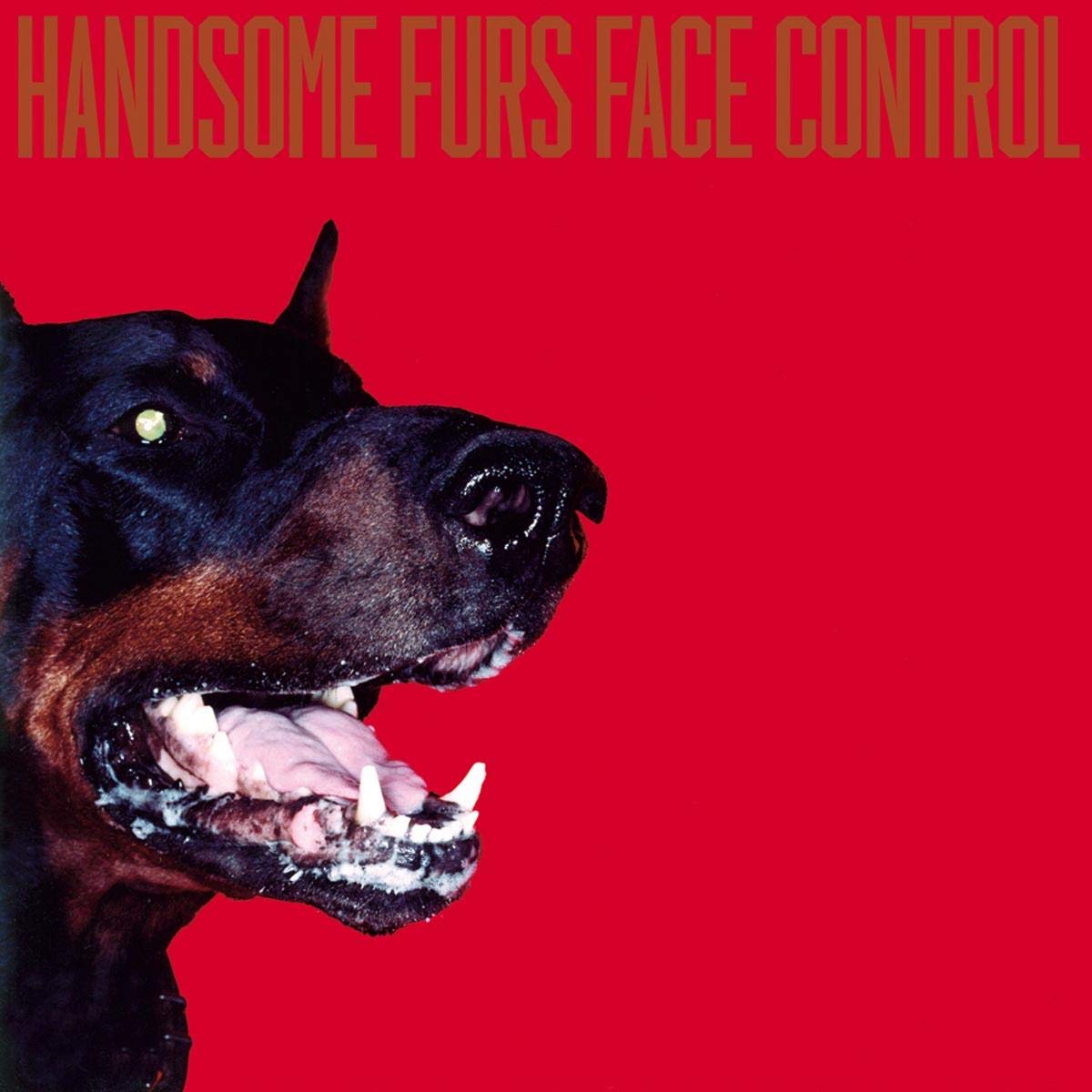 Face Control [Audio CD] HANDSOME FURS