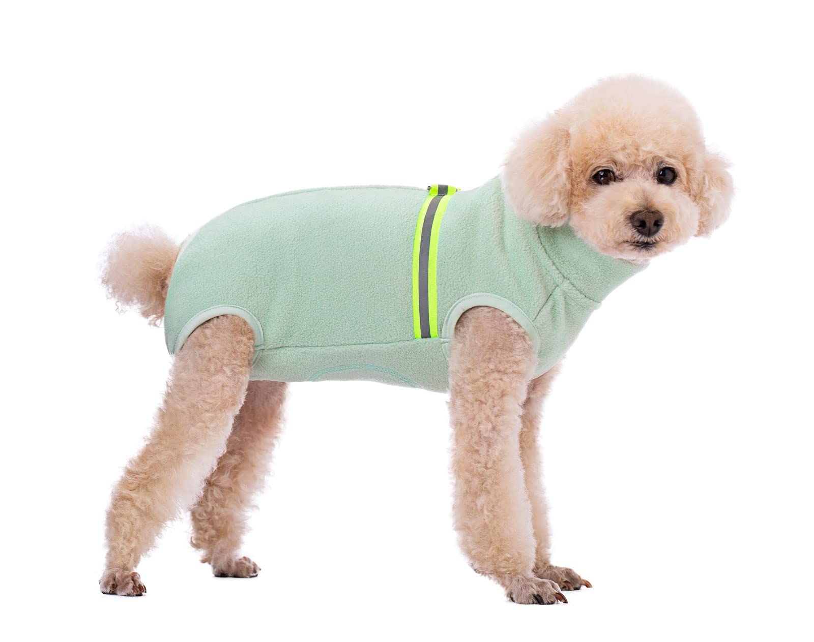 BT Bear Kleiner Hundepullover, weiches Fleece mit reflektierender Weste, Hunde-Sweatshirt, Welpen-Winterkleidung, warme Jacke, Mantel, Kleidung (Mintgrün, M)