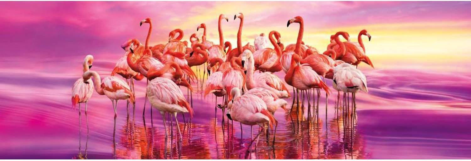 Clementoni 1000 Piece Panoramic Puzzle - Flamingo Dance
