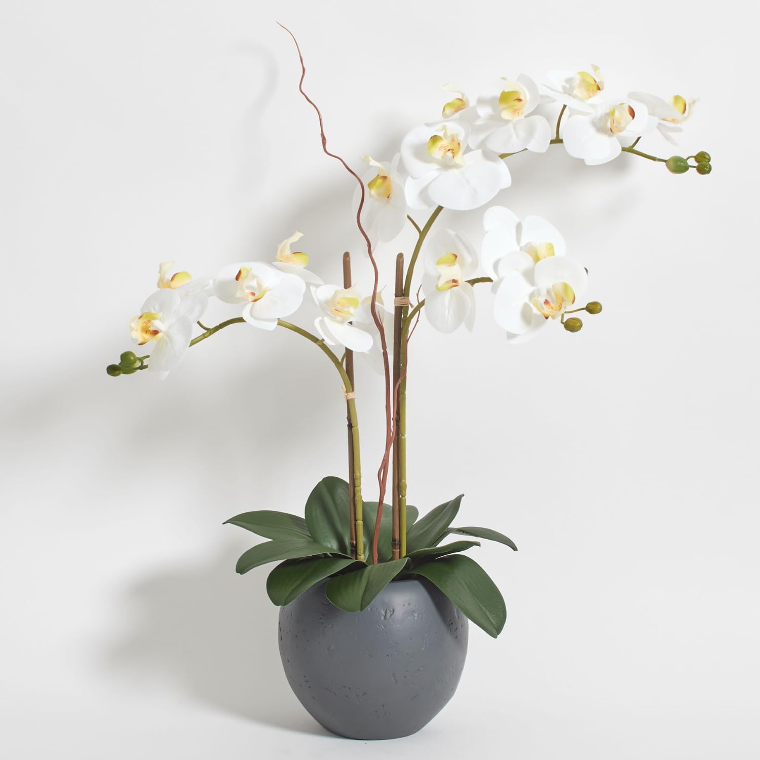 CG Hunter Faux White Orchid