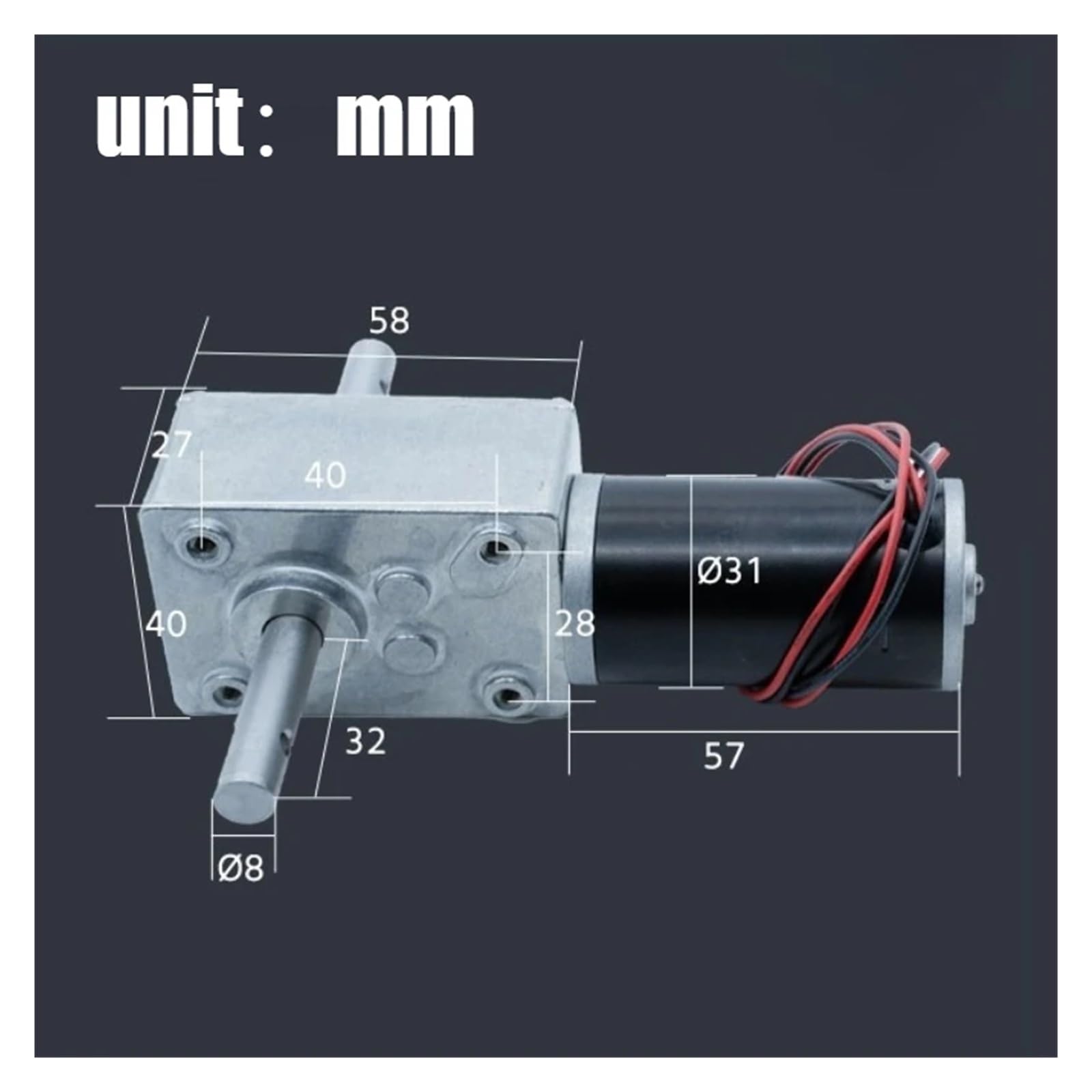 5840-31zy Motoriduttore a micro cc con ingranaggio a vite senza fine Mini motore spazzolato con albero doppio da 12 Volt 24V(5rpm,12V)