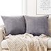 Deconovo Lot de 2 Housse de Coussin 50x50cm en Velours Gris Clair Housse de Coussin Confortable Taie d'oreiller