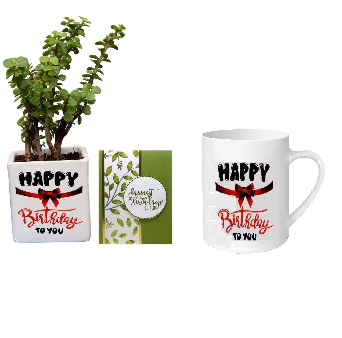See full amazon price history chart for Guuchuu Good Luck Jade Plant Air Purifier With Square cerarmic pot white color indoor plant With Birthday card (Combo of Birthday card,live Plant with Pot and Birthday printed Mug Guuchuu Good Luck Jade Plant Air Purifier With Square cerarmic pot white color indoor plant With Birthday card (Combo of Birthday card,live Plant with Pot and Birthday printed Mug (B08HX7JYQT) Amazon Price History, Amazon Price Tracker