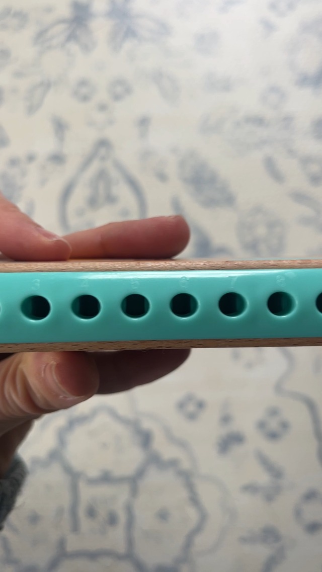 Hape Blues Harmonica with musical notes guide