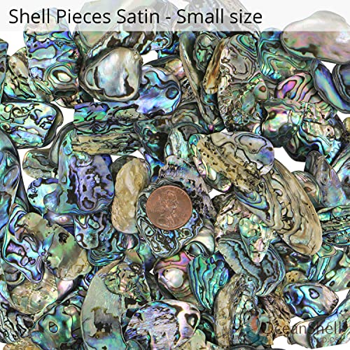 Abalone (Pāua) Shell Pieces For Crafts, Jewelry Making, Resin Art, Inlay, Home Decorations, Fishtank Supplies, Diy Projects - Satin, Small Size .60"- .98" (15-25 Mm) 2.65Oz (75Grams) #TOP1