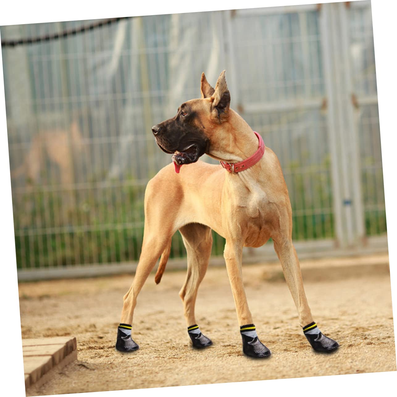 BESPORTBLE 3ensembles Caoutchouc pour Chiens Chaussures Imperméables pour Petits Chiens Et Chiots Paquet De Couleur Noire pour Neige Pluie