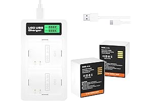 2-Pack Battery & Dual Battery Charger