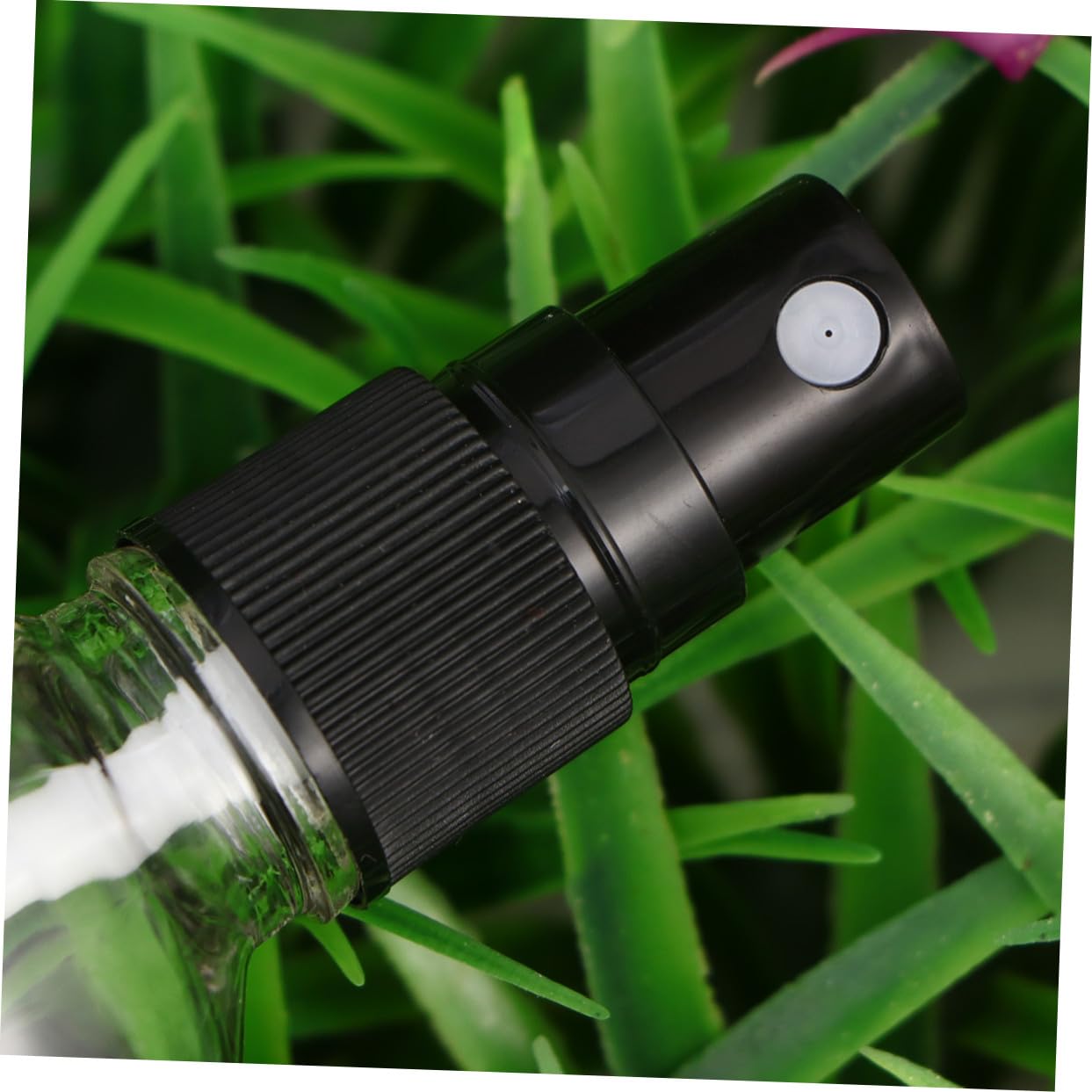 6 Stück Transparente Nachfüllbare Glas Sprühflaschen mit Schwarzem Deckel Leichter Wassersprüher für Parfüm Make up und Reisen Kompakt mit Schutzkappe