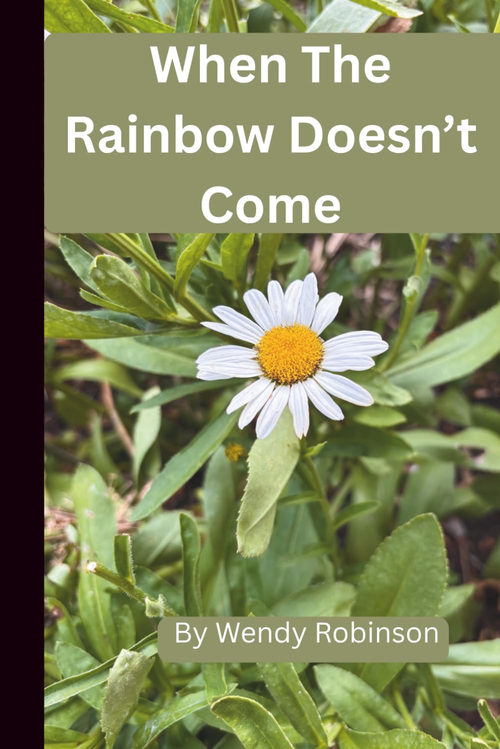 When The Rainbow Doesn't Come: A Memoir of Miscarriage, Molar Pregnancy, and Healing