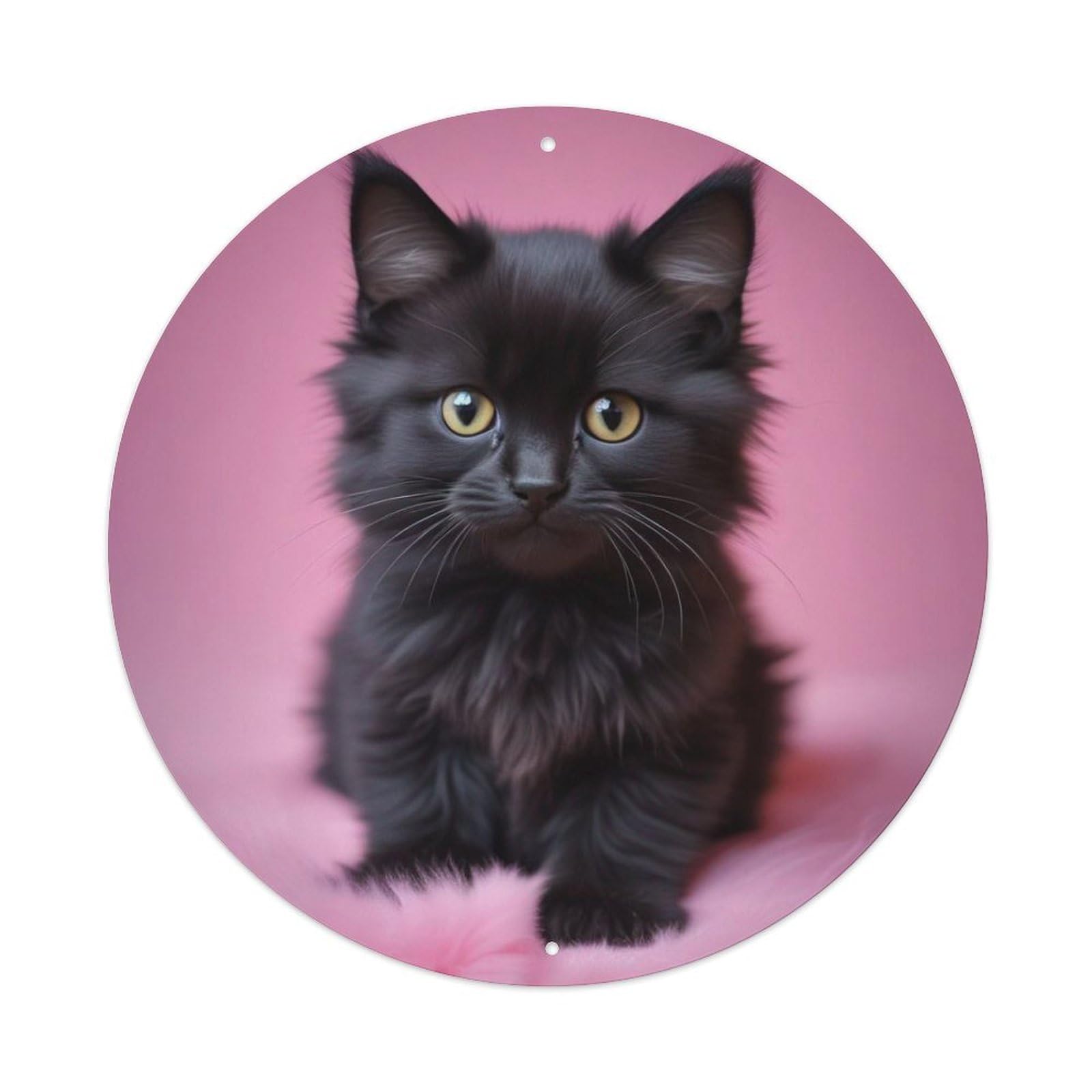 Animal Black Kitten Fluffy Cute Cat Vintage Metal Tin Sign Plaque Wall Decor for Cafe, Club Bar, Office, Garden Metal Poster 8x8Inch