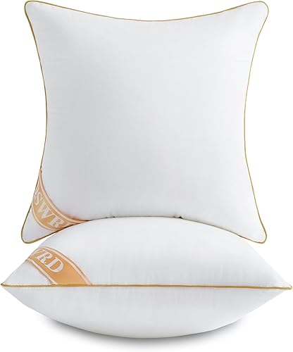 QSWRD Juego de 2 rellenos de almohada de 20 x 20 pulgadas, fundas cuadradas para interior de sofá, con funda 100% de algodón, 18 pulgadas, cojines disponible en Yaxa Colombia