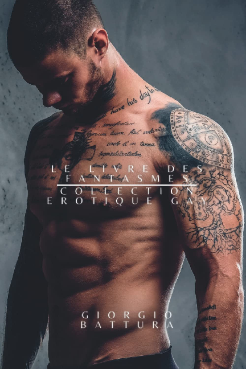 Le livre des fantasmes: collection érotique gay