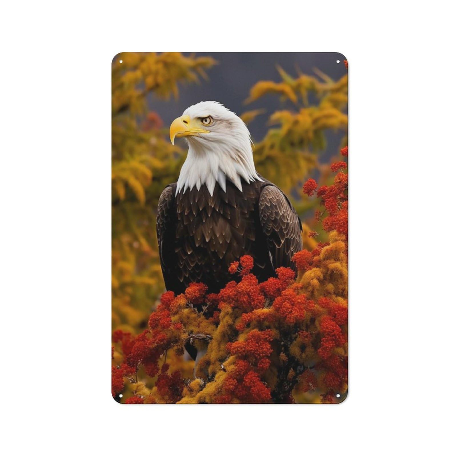 Bald Eagle Retro Tin Sign 30x20cm for Café Or Restaurant, Housewarming Wall Decor for People Furnishing Café And Restaurant