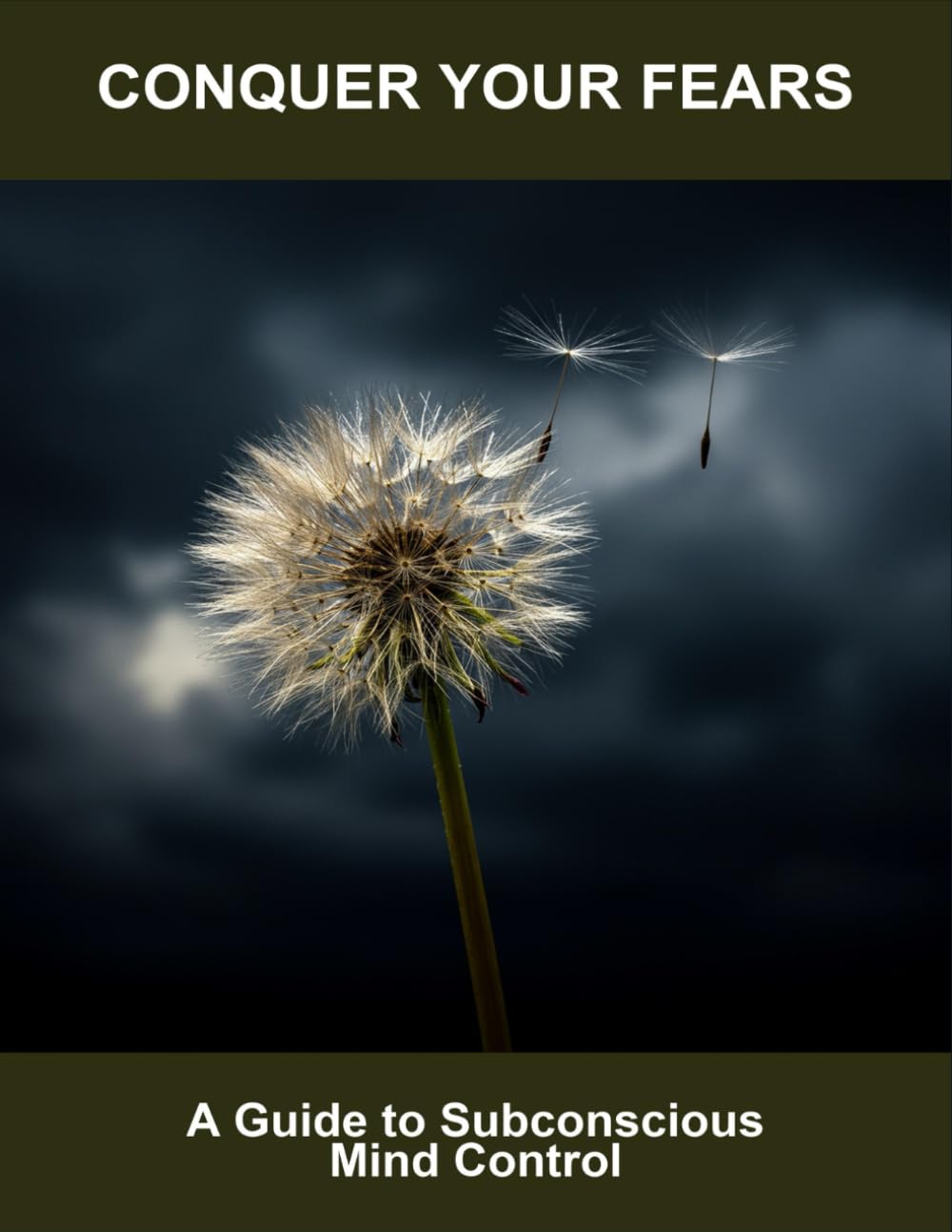 Conquer Your Fears: A Guide To Subconscious Mind Control