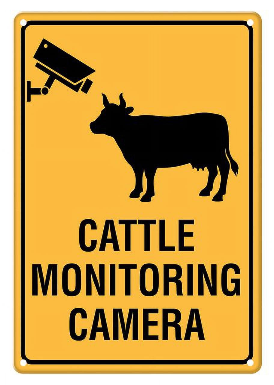 Cattle Monitoring Camera Themed Aluminum Tin Sign 12"x8" For Farm Operators, Homeowners - Home Kitchen Wall Decor