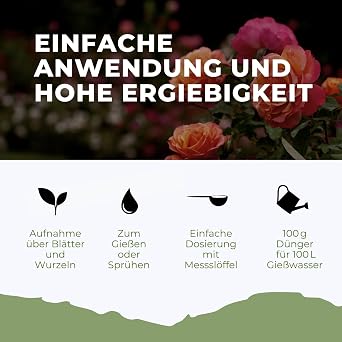 Flora Boost Rosen Dünger 100g Pulverdünger für bis zu 100L Gießwasser