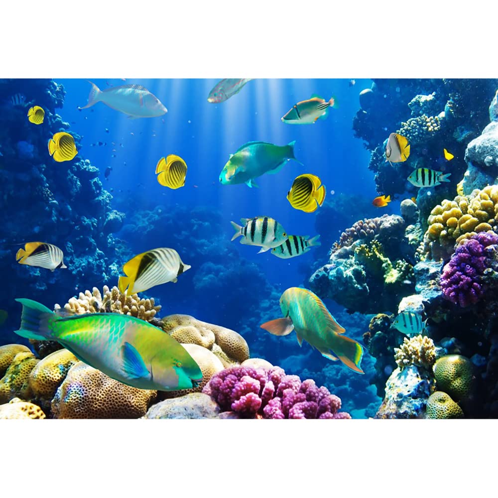 Bovlleetd 3x2m Backdrop Aquarium Sous - Marin Monde Ondulé Soleil Corail Poissons Backdrop Aquarium Sous - Marin Photographie Fond D'écran Vidéo Studio Prop Vinyle