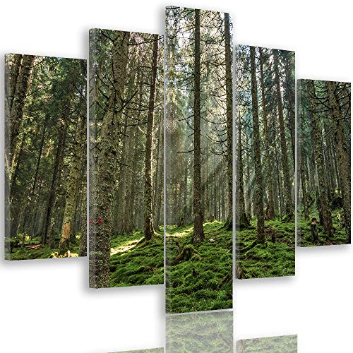 Tableau sur toile nature dans votre salon moderne paysage forêt verte 150x100