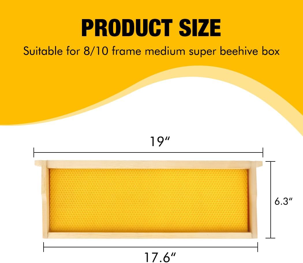 Honey Lake Medium Beehive Frames and Foudations Kit,10 Pack Super Wooden Frames and Beeswax Dipped Plastic Foundations for Beekeeping