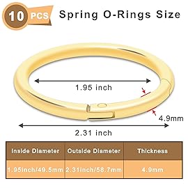 10Pack 2 Large Round Carabiner Clips, Metal Spring O Rings for Organizer Key Rings, Paracord Keychain Lanyard, Pet Chains, Purse Hardware, Key Snap Hooks DIY Accessory (Gold)