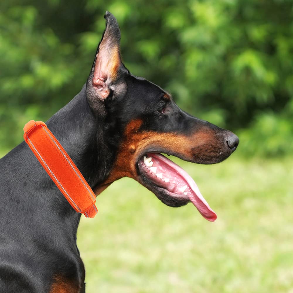 Collar táctico para perro con hebilla de metal resistente y asa de control para entrenamiento de perros medianos y grandes (naranja, XL)