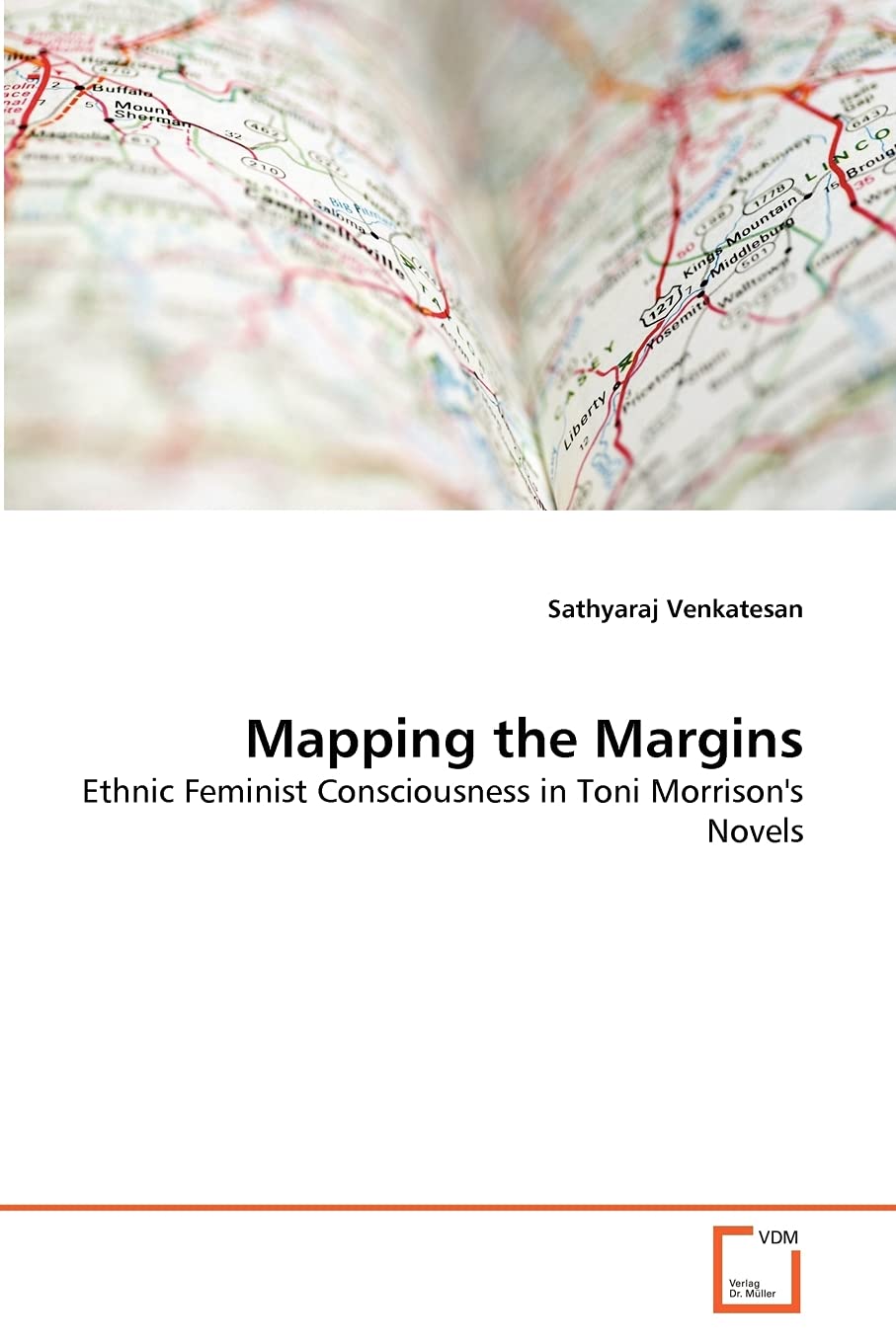 Mapping the Margins: Ethnic Feminist Consciousness in Toni Morrison's Novels