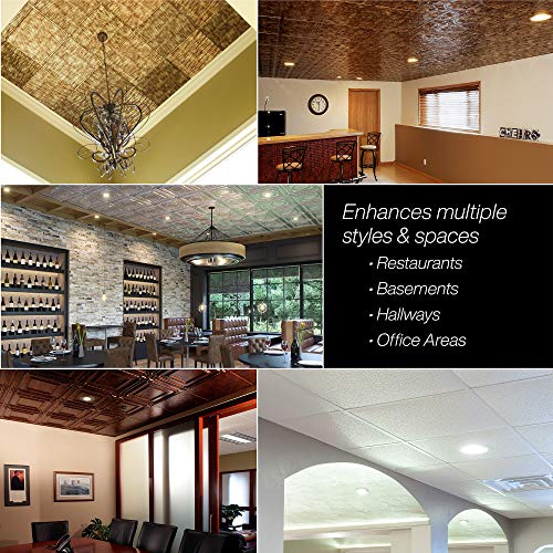 FASÄDE Current Decorative Vinyl 2ft x 2ft Lay in Ceiling Panel in Gloss White (5 Pack)