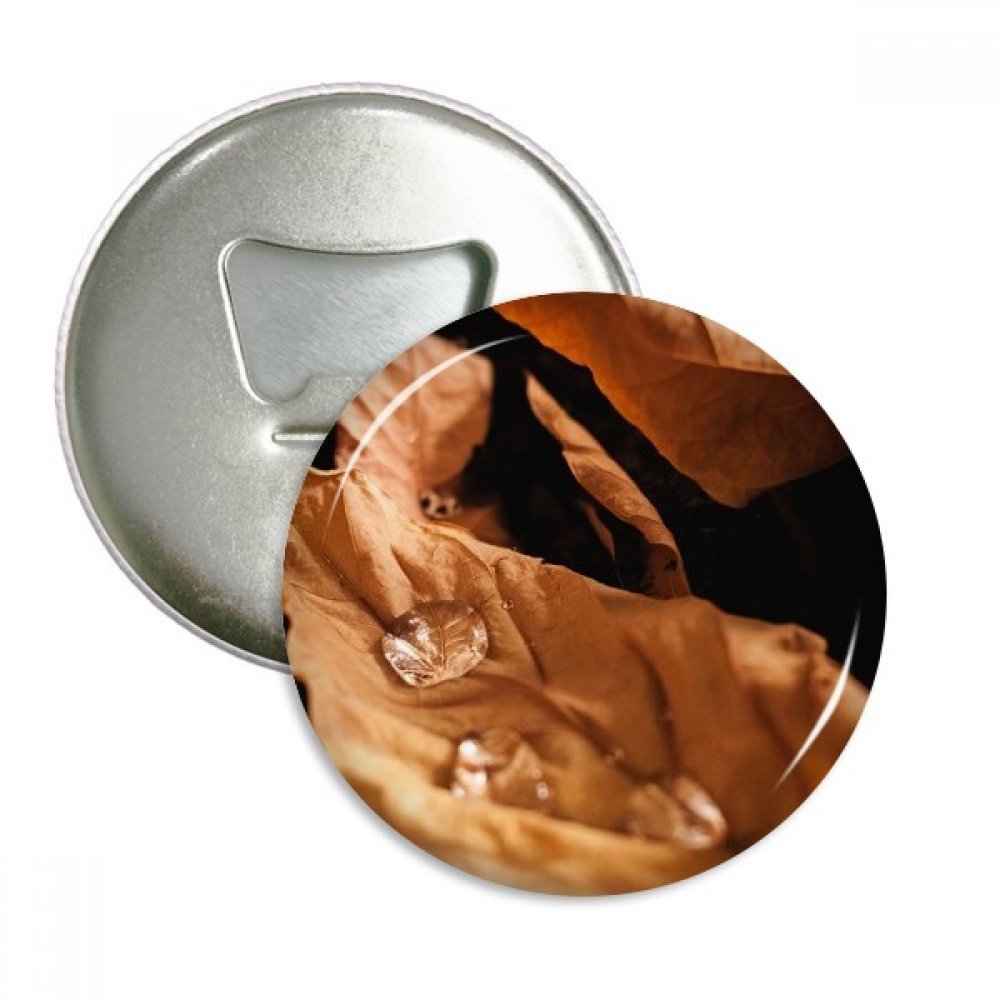 Décapsuleur aimanté feuilles d'automne DIYthinker en métal argenté pour frigo x3