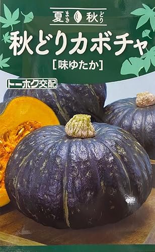 【種子】秋どりカボチャ 味ゆたか トーホクのタネのサムネイル