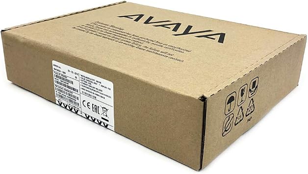 Avaya 9641GS IP Telephone (700505992)