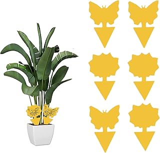 Fruit Fly Trap, 6 Pack Sticky Fruit Fly Killer and Fungus Gnat Killer for Indoor Plants Fly Trap Gnat Trap Yellow Sticky Traps Fungus Gnats Fly Traps Insect Killer for Houseplant Indoor Outdoor Plants