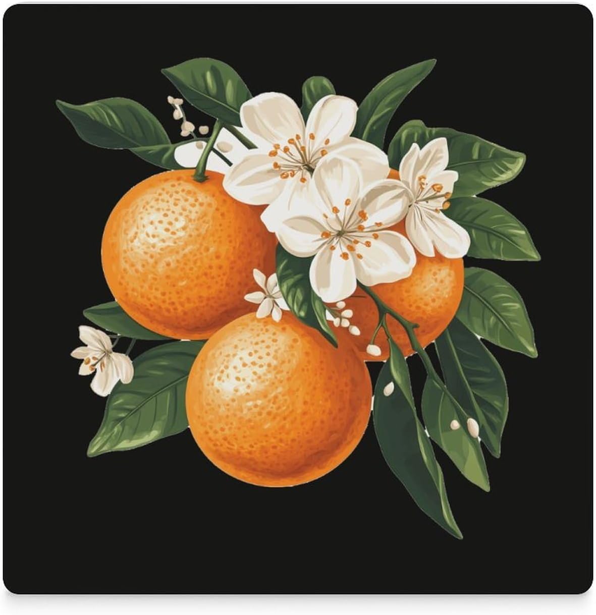 Fruit Orange Flower Coasters for Drinks Square Table Coasters Set Cup Mats with Cork Base