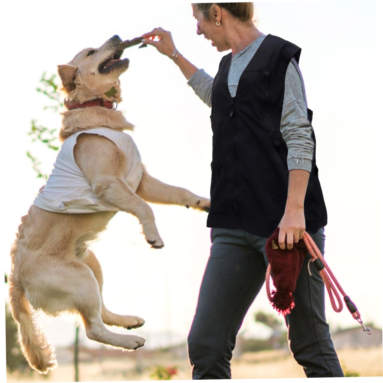 Gilet de Dresseur D’Animaux pour Chien Noir, Polyester Mesh
