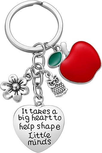 iWenSheng Teacher Appreciation Gifts for Women - Teachers Christmas Valentines Day Gift, Thank You Keychain Keyring