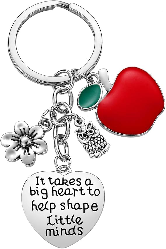 iWenSheng Teacher Appreciation Gifts for Women - Teachers Christmas Valentines Day Gift, Thank You Keychain Keyring