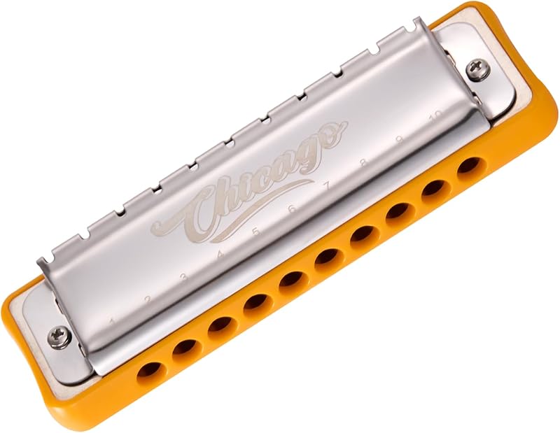 JDR Harmonica Blues Diatonic Harp Key of C 10 Holes 20 Tones Chicago | Open-Back Stainless Steel Cover Enhanced Sound Projection, Ergonomic Round Mouthpiece, Precision-Tuned Phosphor Bronze Reeds