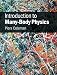 Introduction to Many-Body Physics