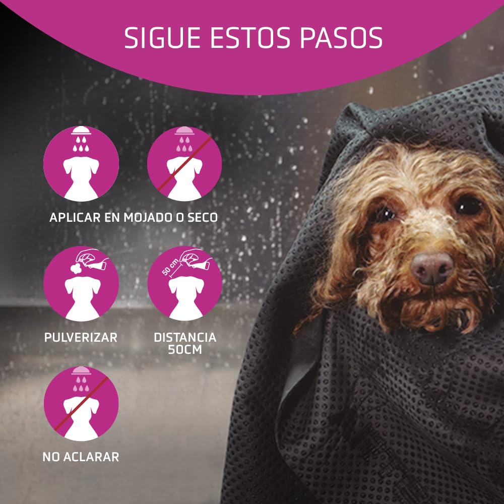 Artero Flash. Acondicionador y potenciador de Brillo para Perros y Gatos en Spray, facilita el Cepillado sin roturas del Pelo.