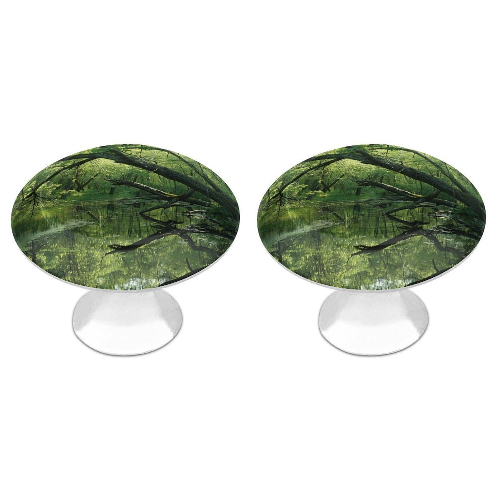 QMNLKH an Ancient Swamp Cabinet Knobs for Home, Round Drawer Pulls for Kitchen, Personalized Cupboard Handles with Screw, Fashion Dresser Knobs for Office, Drawer Handles, 2 Packs
