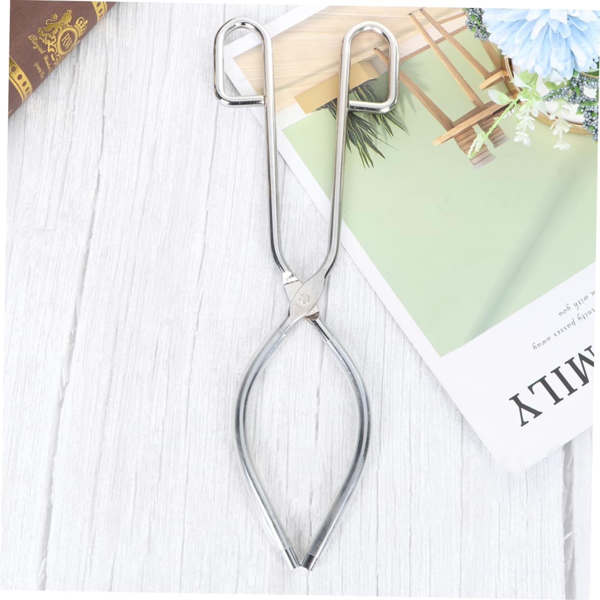 Stainless Steel Crucible Tongs Long Handle Kitchen Pliers Heavy Duty Laboratory Beaker Clamp