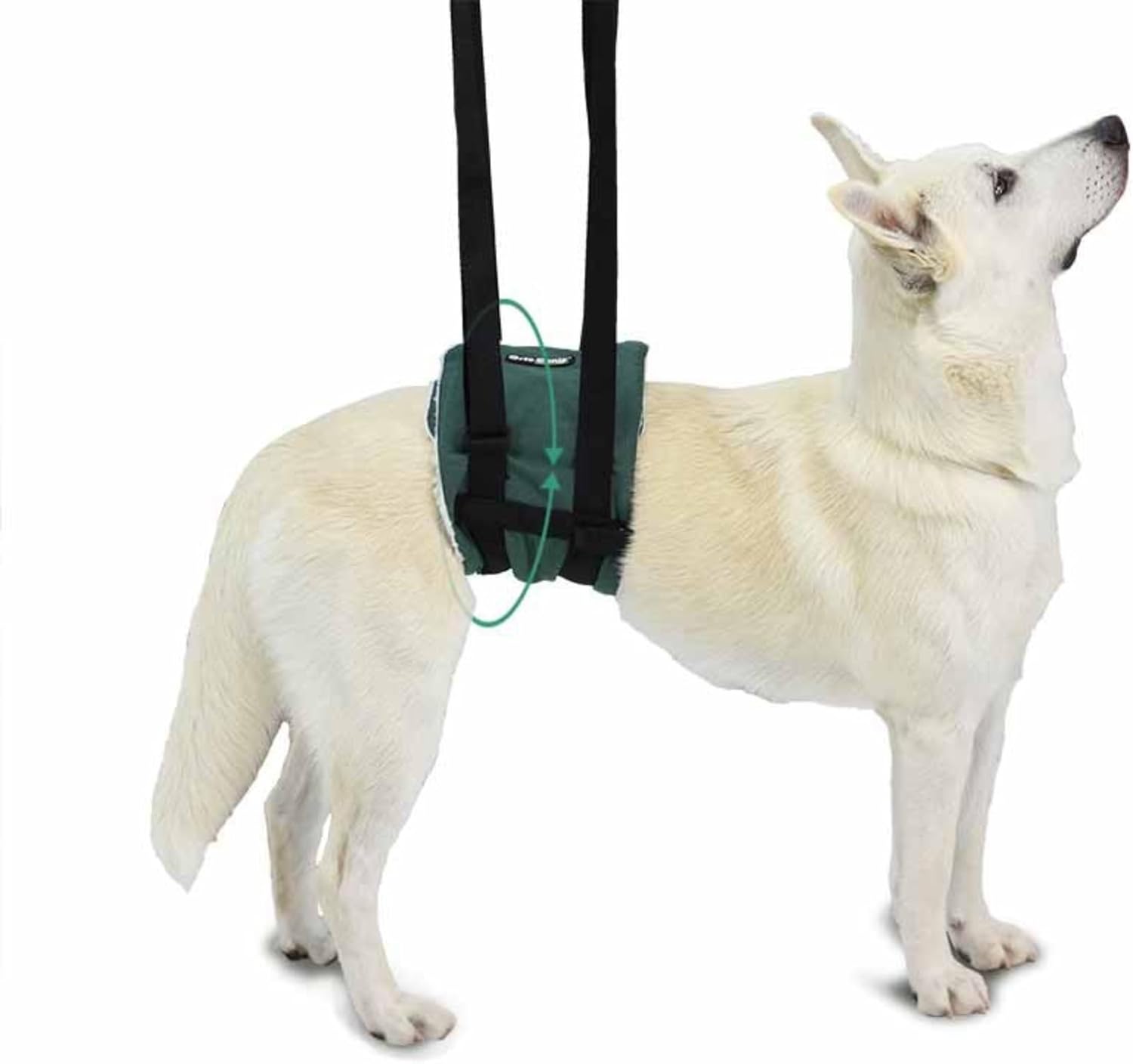 Ortocanis - Walking Aid. Support Harness for Dogs with Mobility Problems. Hind Leg Support. Size L