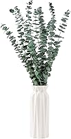 Vista 2 de 10 tallos de eucalipto secos de 17 pulgadas de eucalipto real para colgar en la ducha, 100% hechos de hojas frescas, boda, hogar, granja, decoración