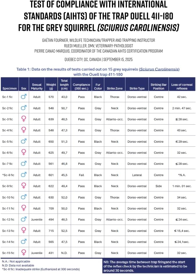 Big Squirrel Trap Indoor Outdoor – Medium Rodent Trap – Ouell Traps – Black and Grey Squirrels – QAI - OUELL not Quell – Most Powerful Trap