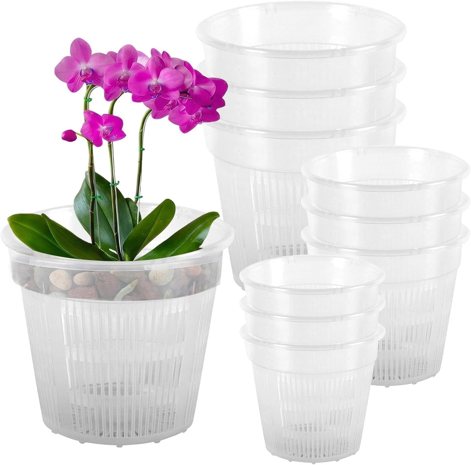 Set 9 vasi trasparenti per orchidee 11/14/16 cm