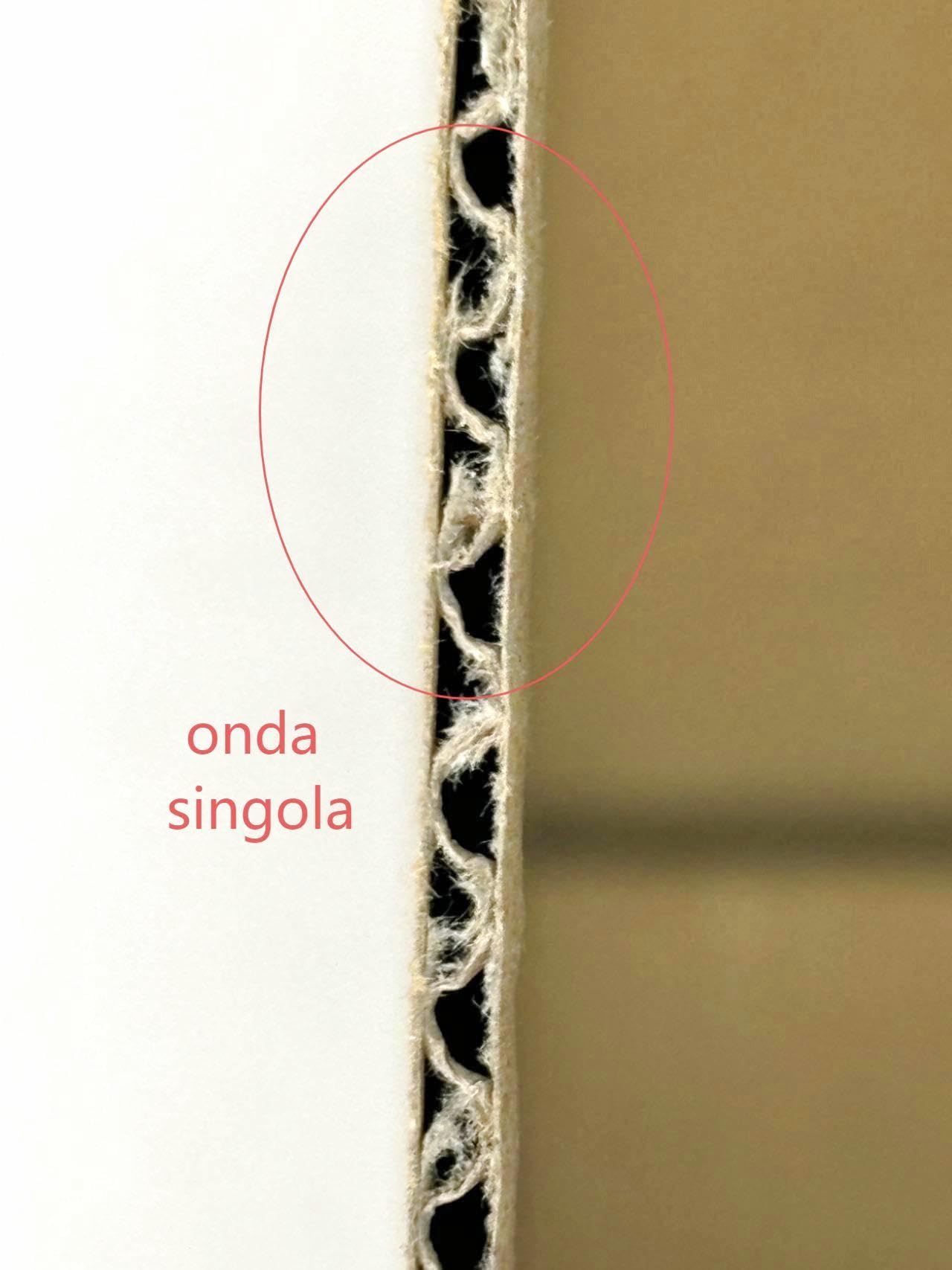 Scatole Cartone onda singola per Trasloco e Spedizioni, 40x30x20 cm, Set 100 Pezzi (100 pezzi, 40x30x20 cm)