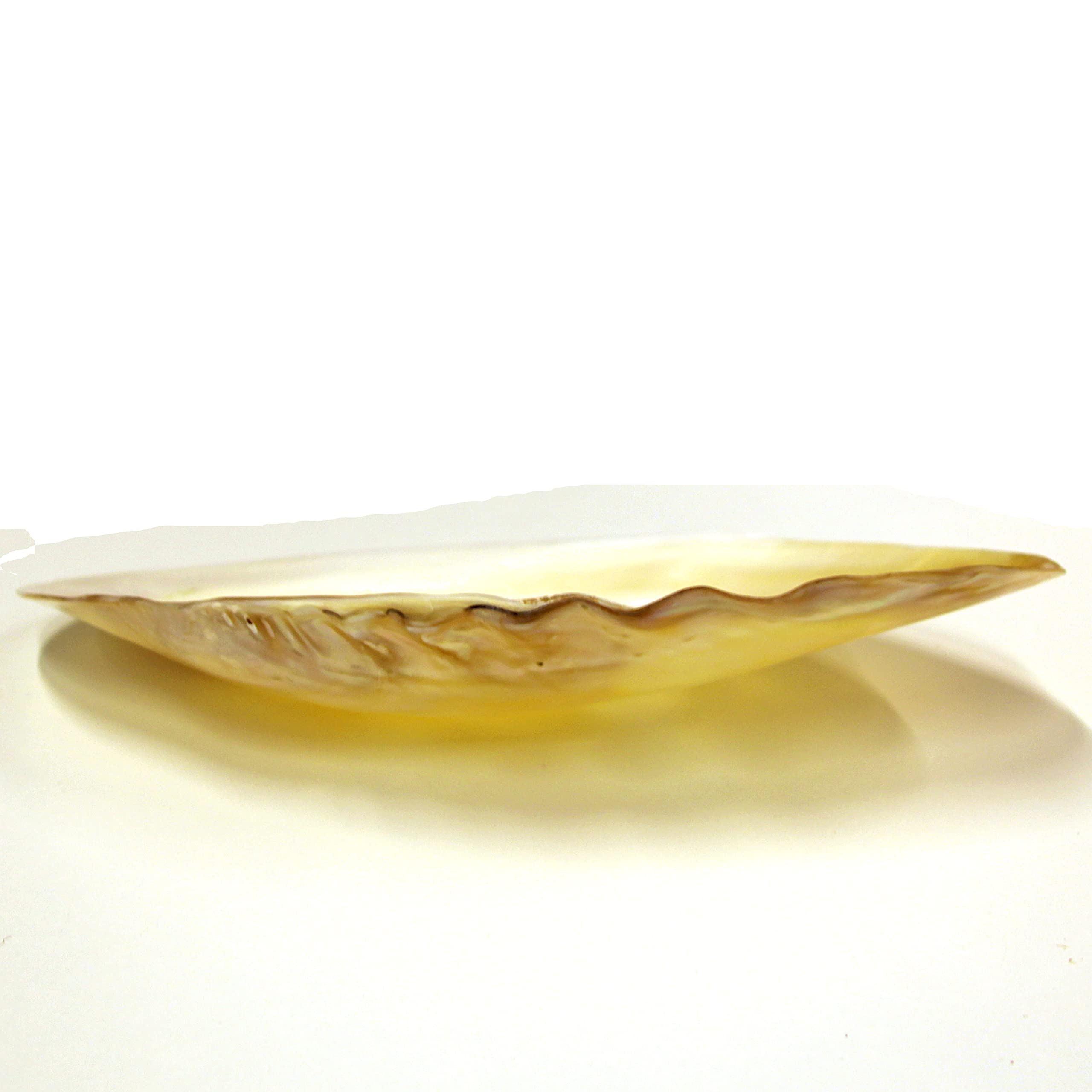 Assiettes à caviar en nacre | Paul Bert Serpette