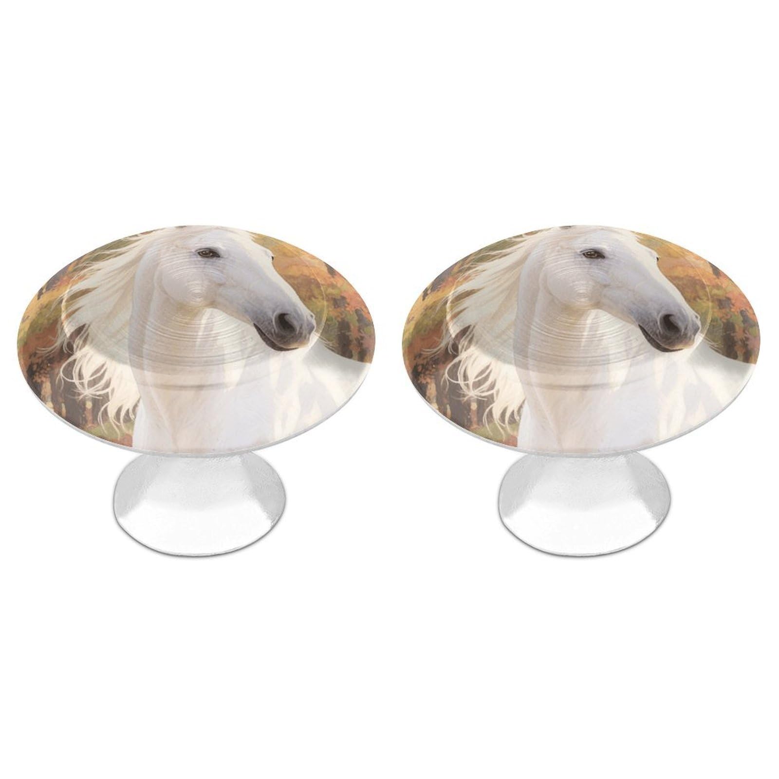 Vstadank Style Watercolor White Horse Drawer Knob Nice Bathroom Cabinet Knob Round Cabinet Pull Stainless Steel Cabinet Handle Circle Drawer Handle Modern Drawer Pull For Wardrobe Cupboard 2 Pcs