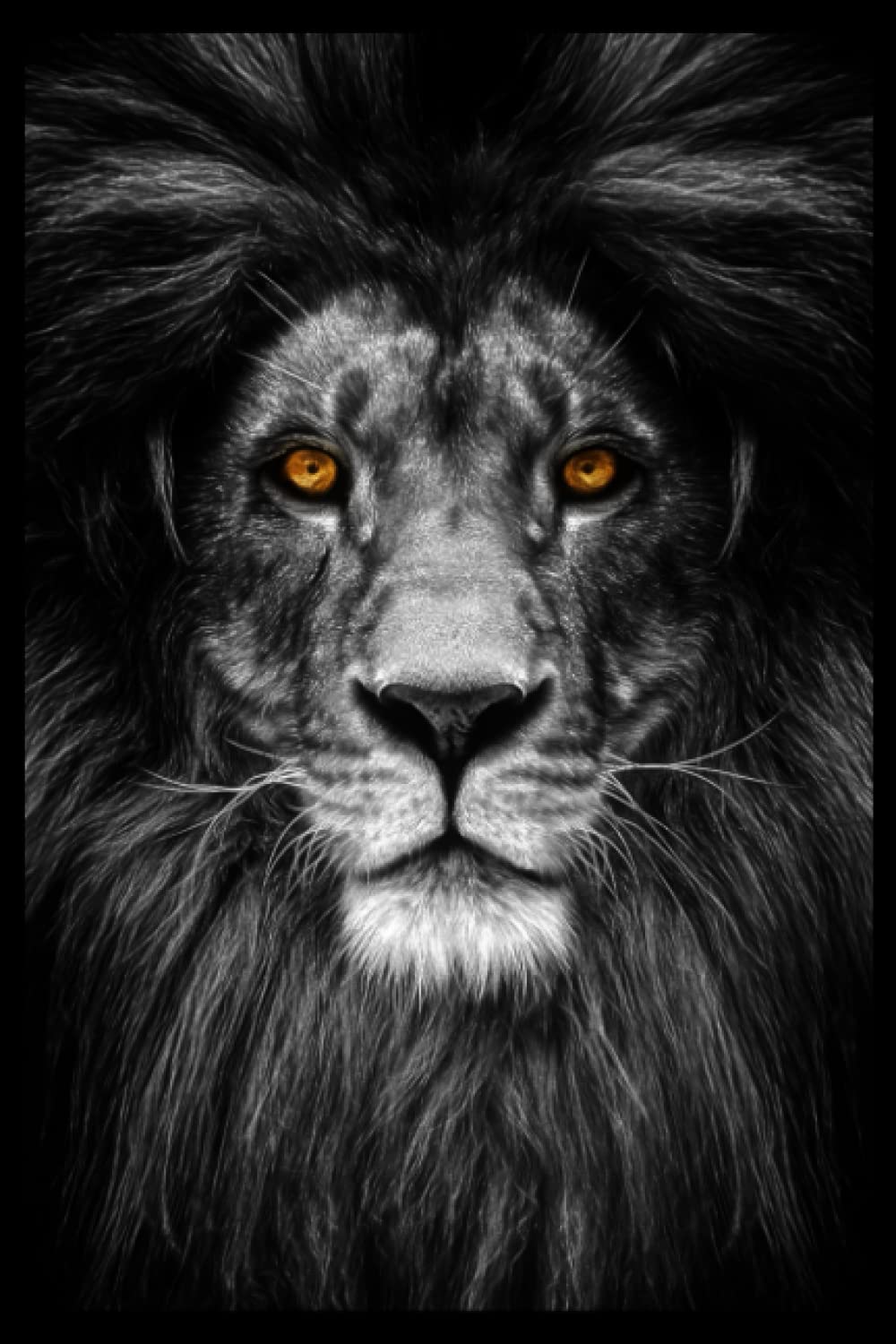 Lion Face Journal, Lion Face Notebook